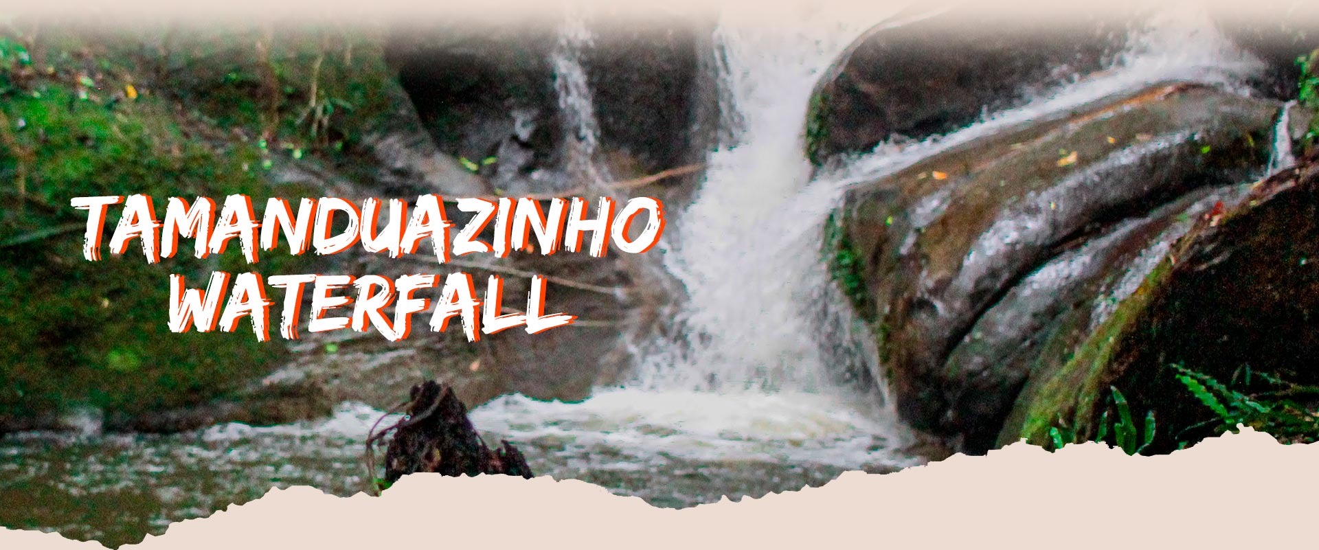 banner-tamanduazinho