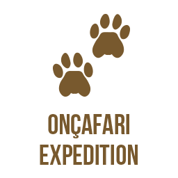 oncafari-expedition