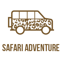 safari-adventure