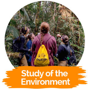 study-of-enviroment